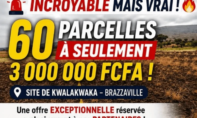Opportunité – photo 3