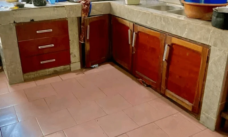 VENTE URGENTE : Maison de locataires – photo 2