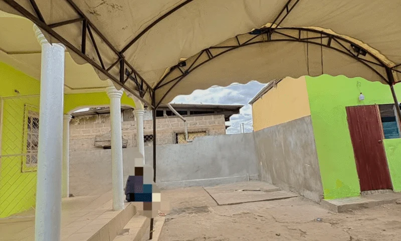 URGENT : Complexe à vendre – photo 3