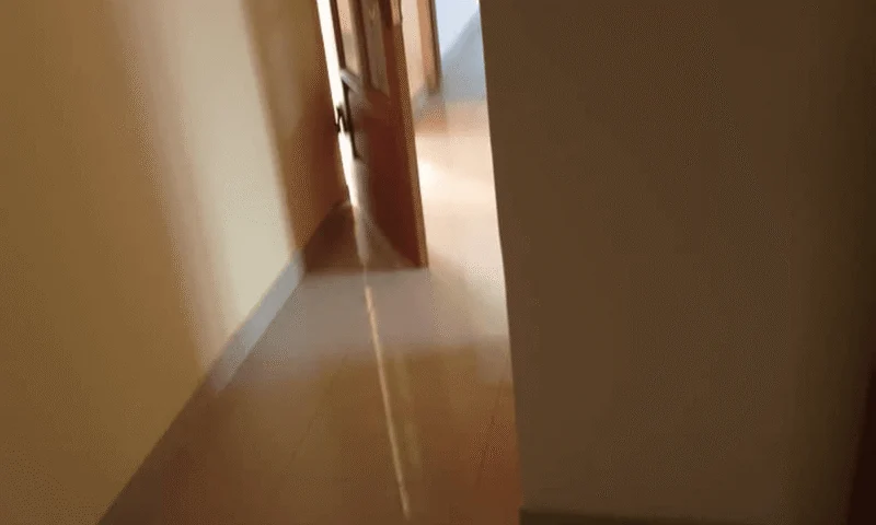 Maison de famille – photo 2