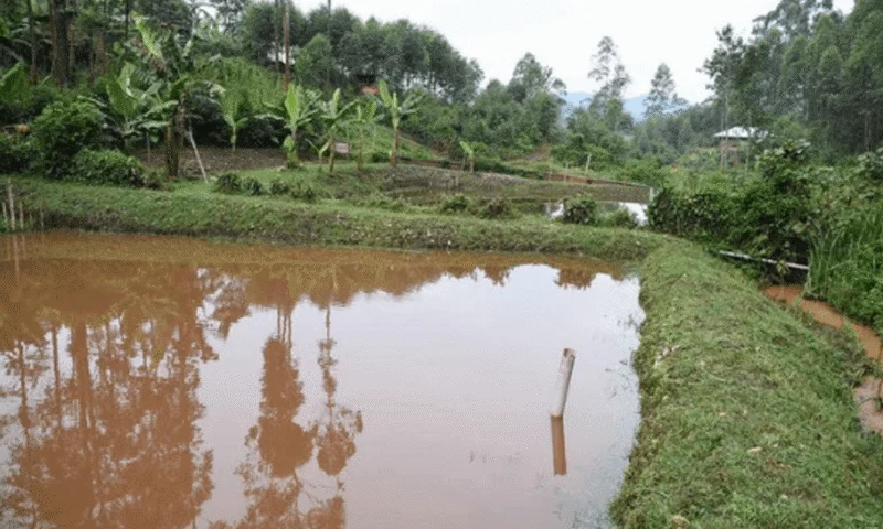 Site agricole de pisciculture – photo 2